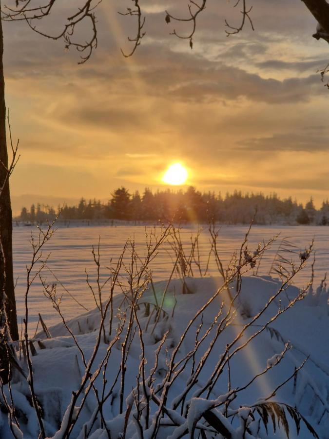 Ferienwohnung Sort Sol Grellsbuelldeich 7 Aventoft Luaran gambar