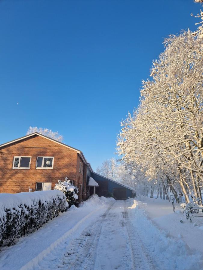 Ferienwohnung Sort Sol Grellsbuelldeich 7 Aventoft Luaran gambar