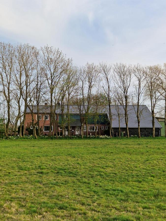 Ferienwohnung Sort Sol Grellsbuelldeich 7 Aventoft Luaran gambar