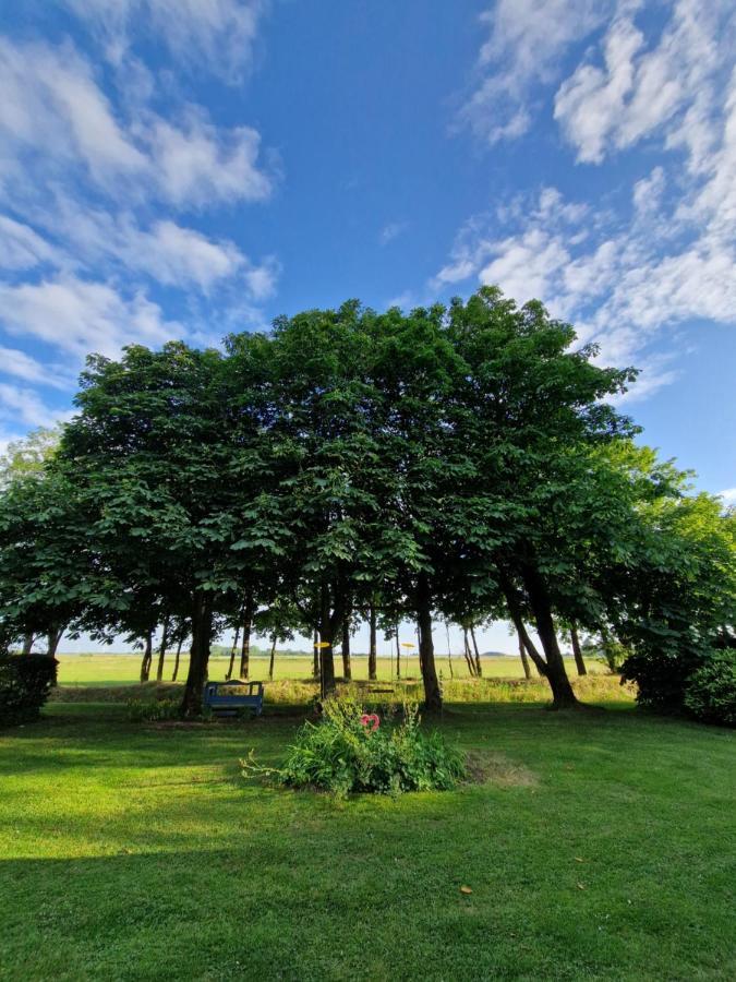 Ferienwohnung Sort Sol Grellsbuelldeich 7 Aventoft Luaran gambar