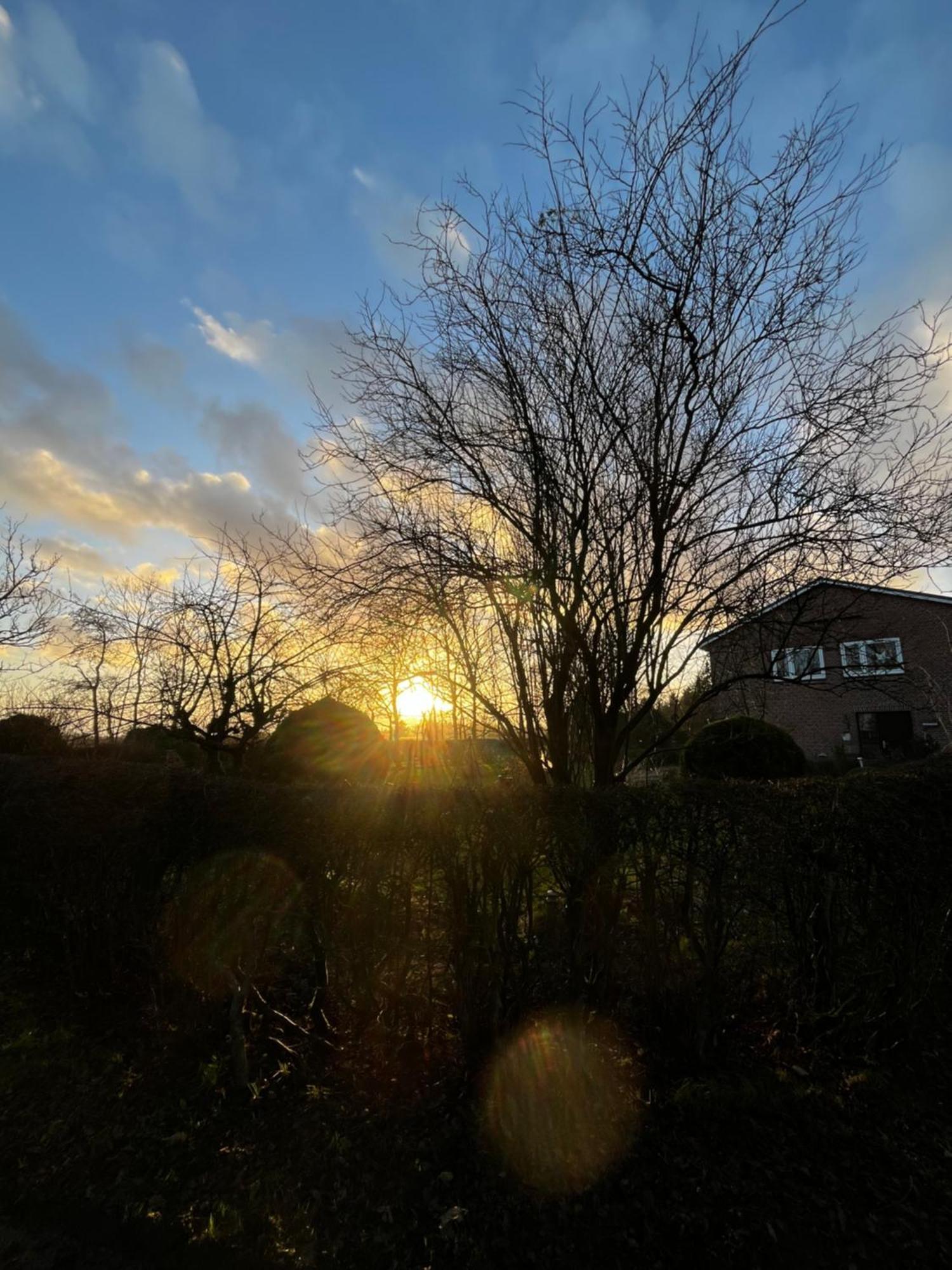 Ferienwohnung Sort Sol Grellsbuelldeich 7 Aventoft Luaran gambar